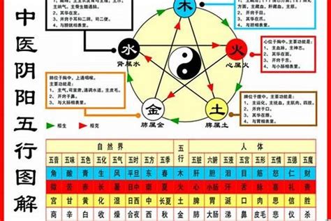 1972年生肖五行|1972年属鼠的五行属什么 72属鼠命运分析